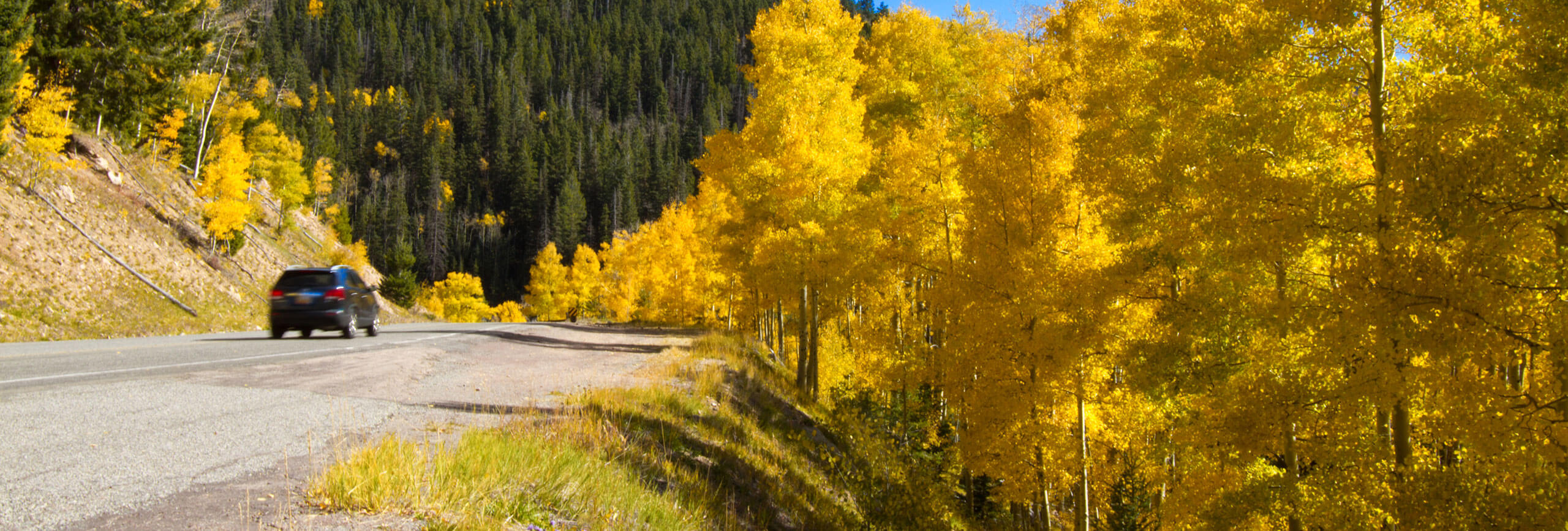 Car driving through scenic autumn forest road