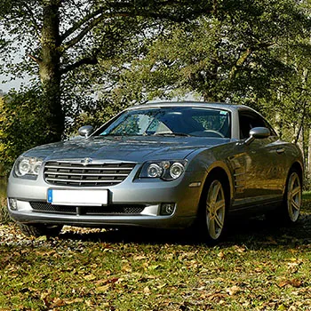 Silver sports car parked by trees